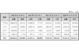 吐鲁番为什么选择专业追讨公司来处理您的债务纠纷？